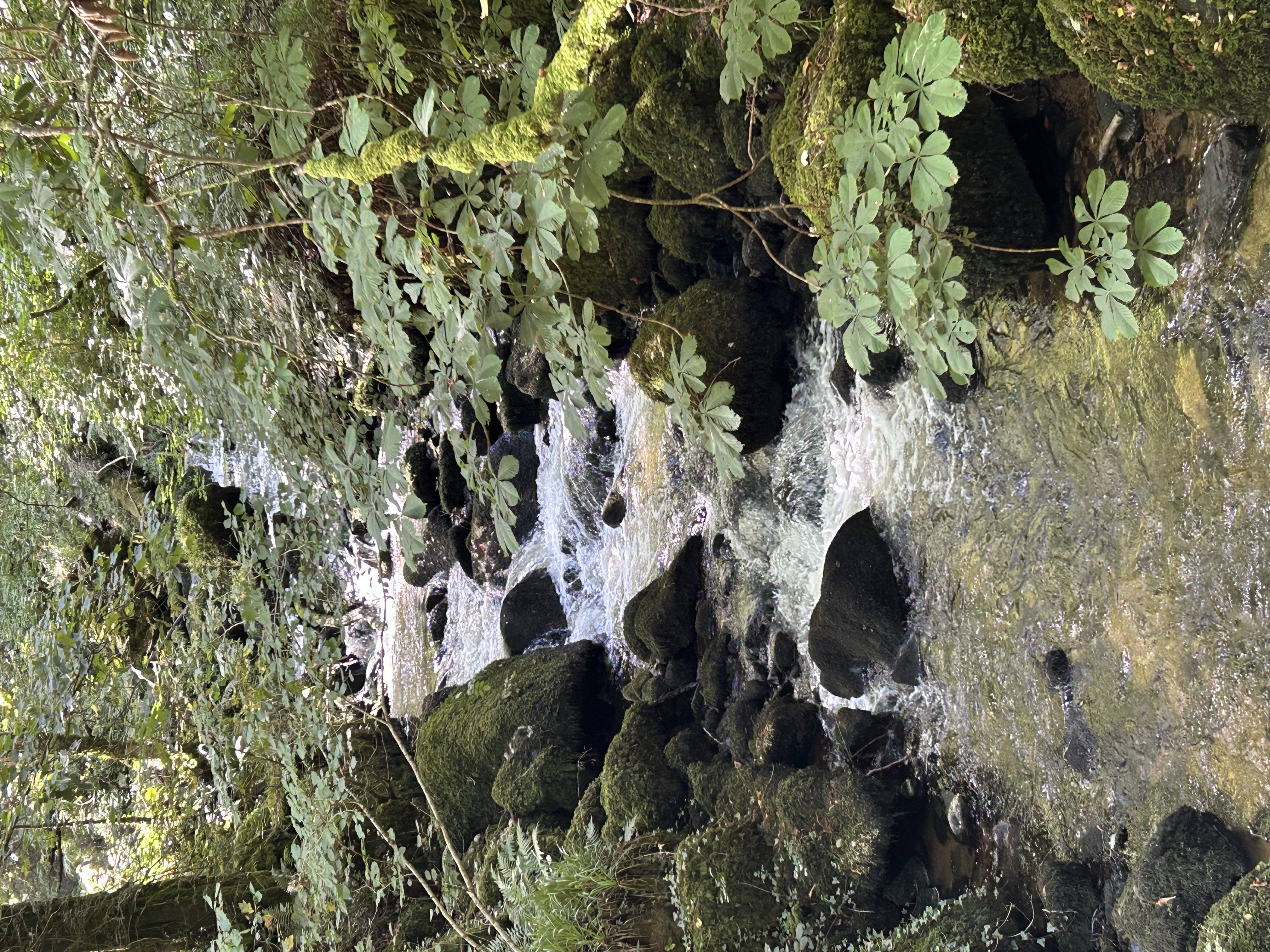 Person Centred Counselling